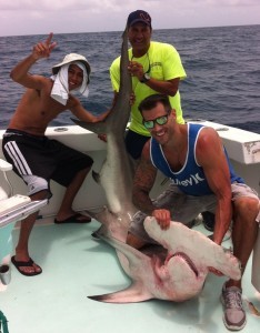 Hammer Head Shark - - Miami Fishing Charters Spellbound