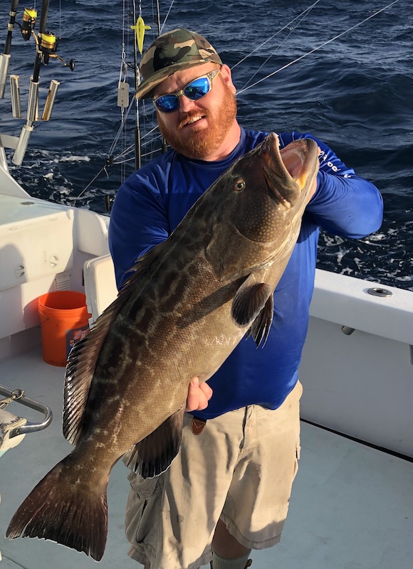 Grouper Fishing Reel Adventure Charters